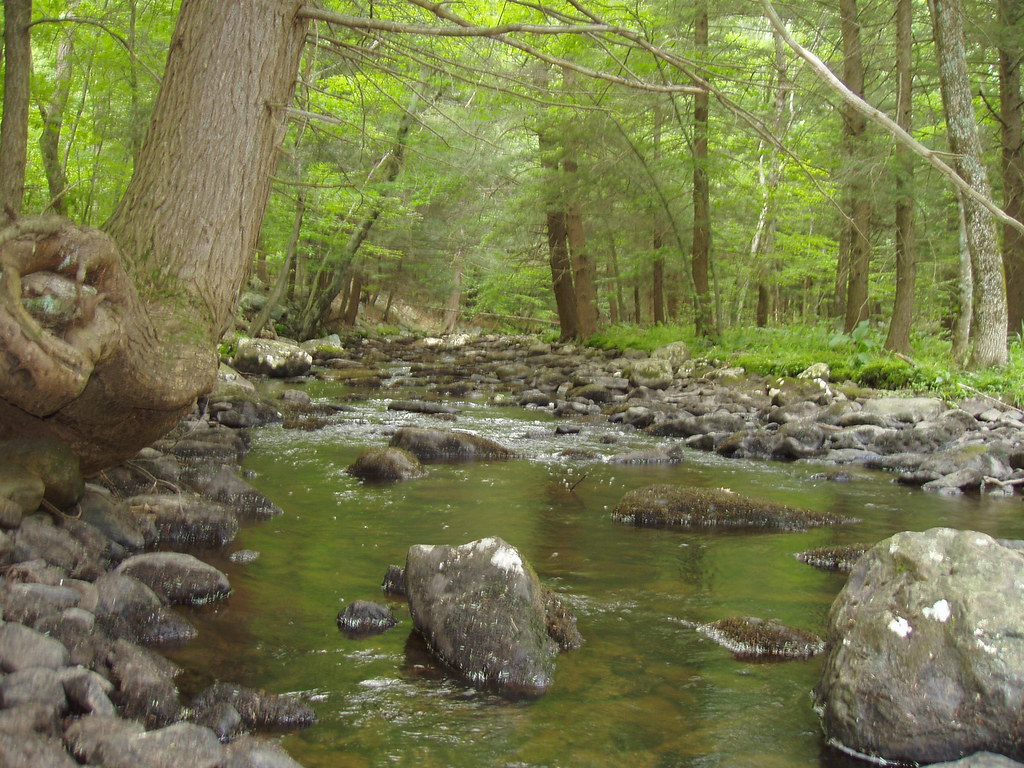 Headwaters Upper Big Flat Brook, NJ MJahnz Flickr