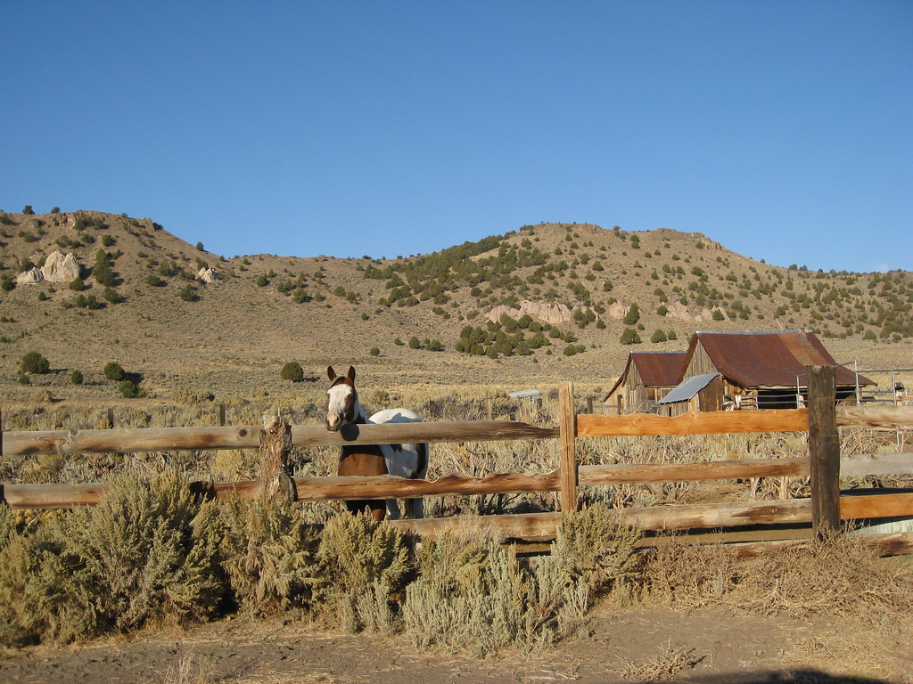 Sidetrip to Vya, Nevada The Old Yella Dog Ranch looked lik… Flickr