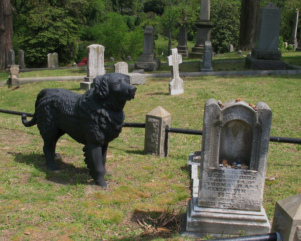 Hollywood Cemetery Dog Black cast iron dog standing watch … Flickr