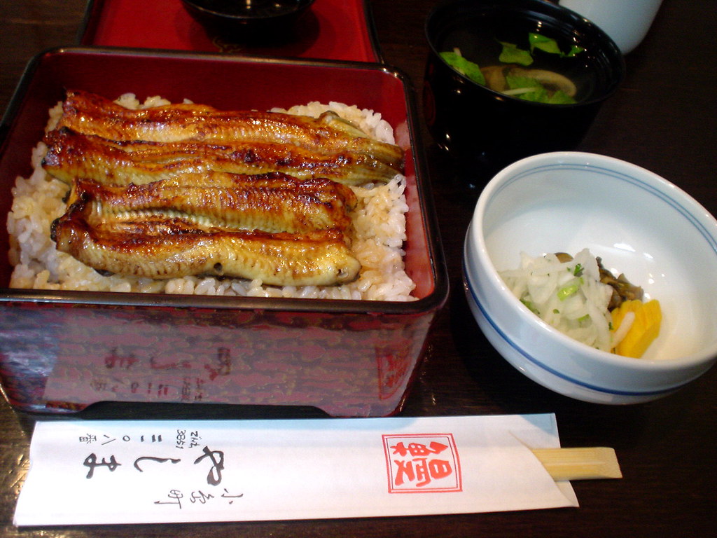 Unaju ( a grilled eel over rice ) from Yashima Kojima ( … Flickr