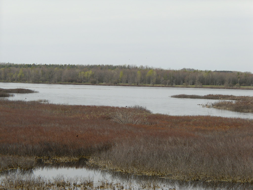 Weaver Lake Richfield Springs, New York Weaver Lake Ri… Flickr
