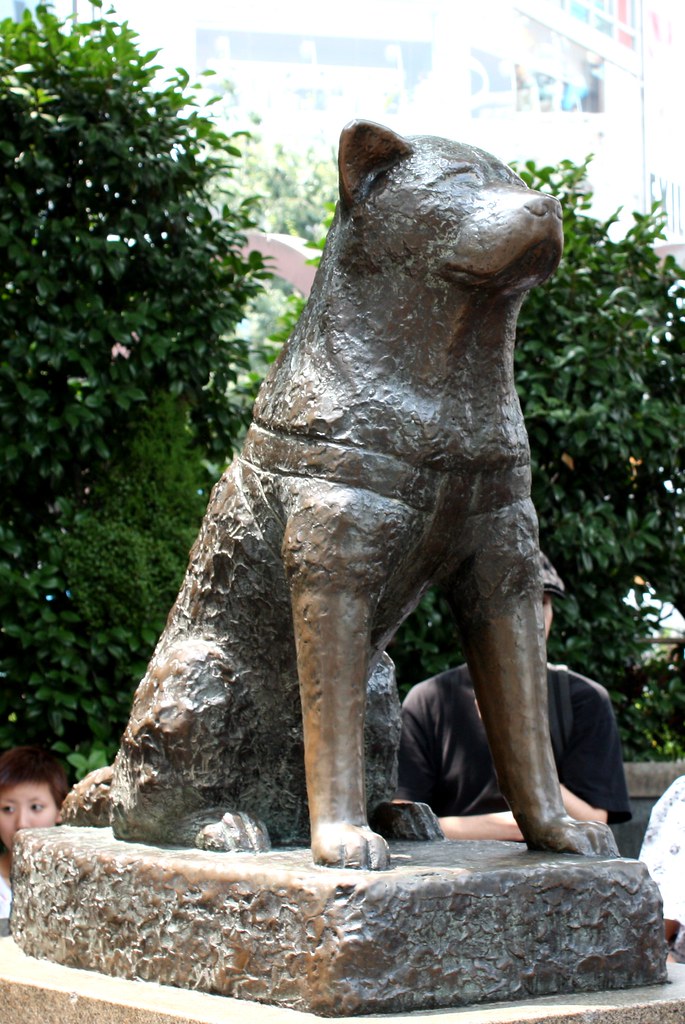Hachiko Statue, Shibuya, Tokyo 27 July 2008 "Hachikō was a… Flickr