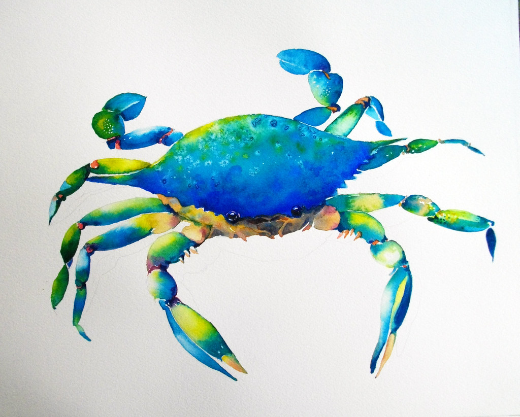 blue crab watercolor Melanie Flickr