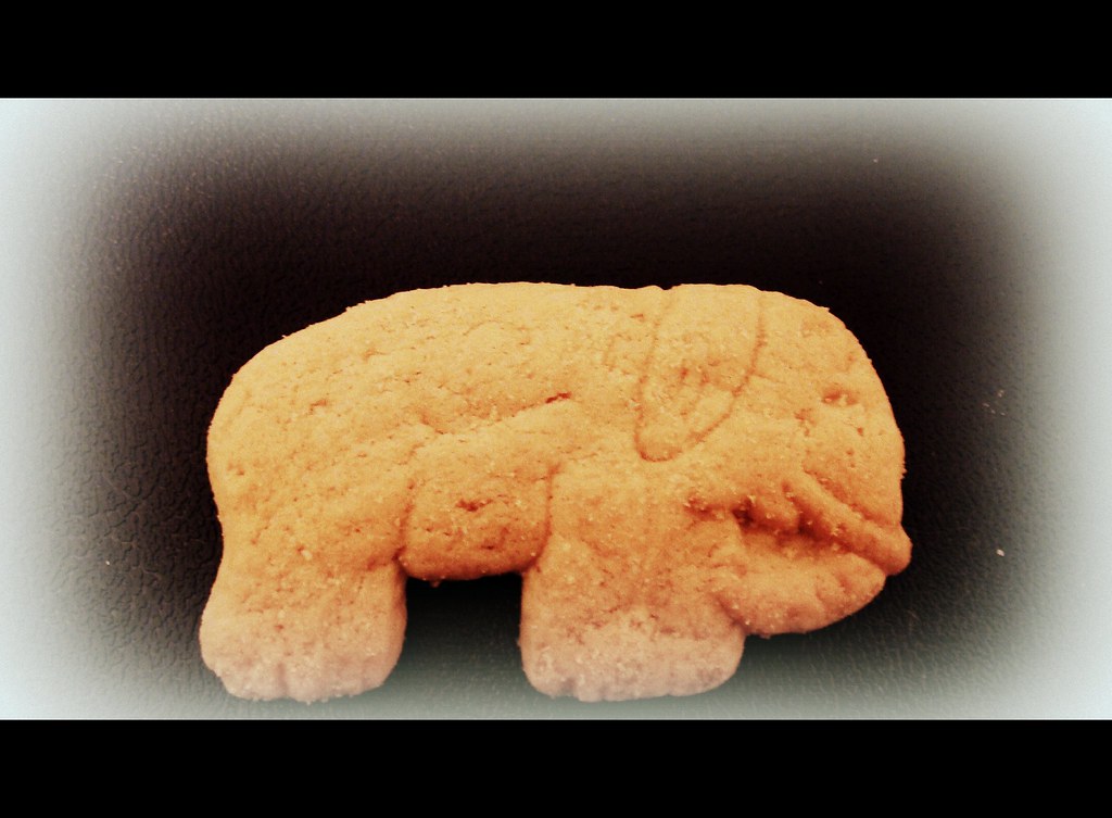 Elephant Animal Cracker Submitted for October's THC 1 … Flickr