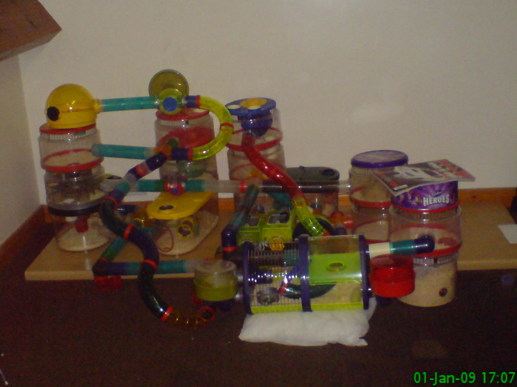 rotastak the biggest hamster cage ever? julie.bickerdike01 Flickr