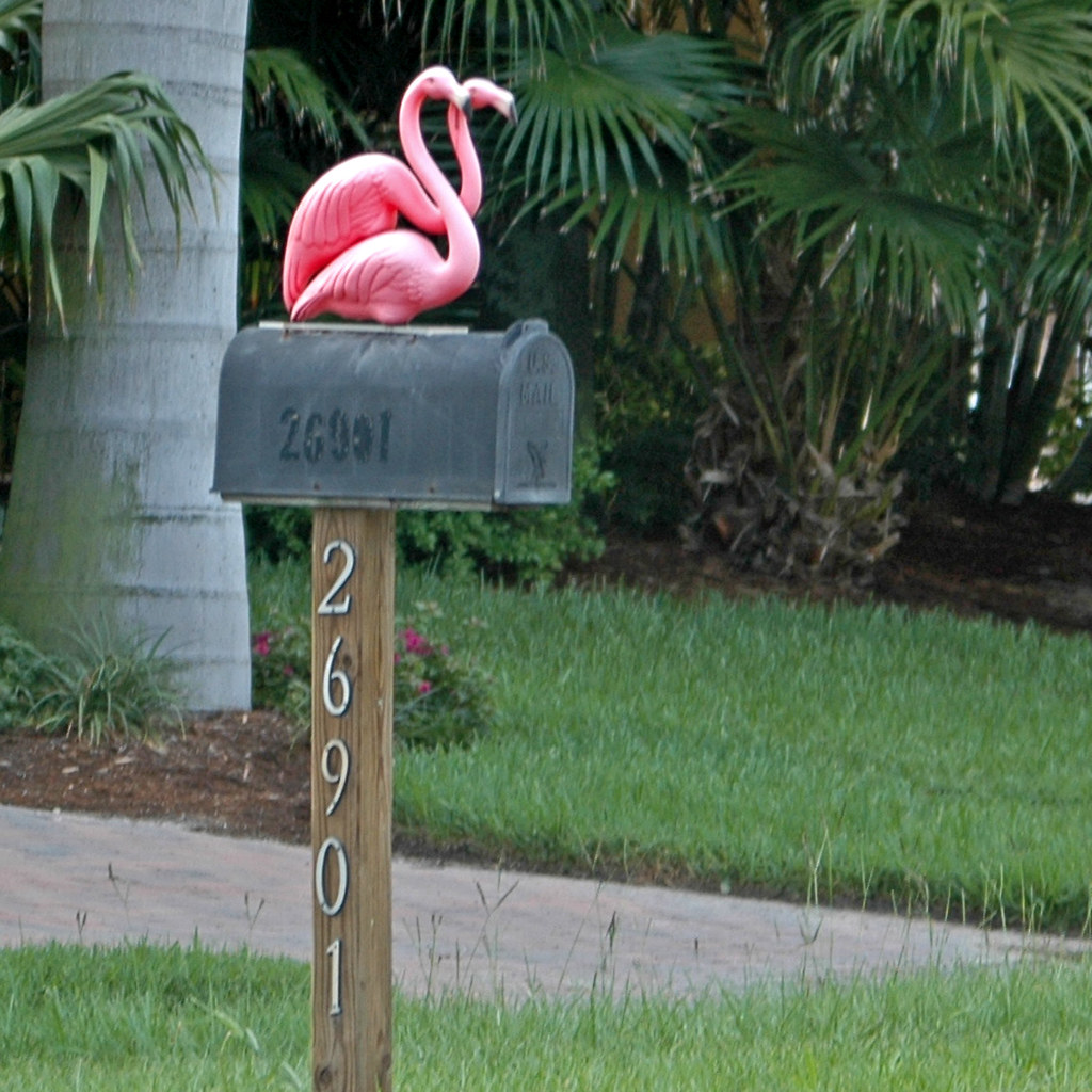 Mailbox Bonita Flamingos Decorative mailbox in front of … Flickr