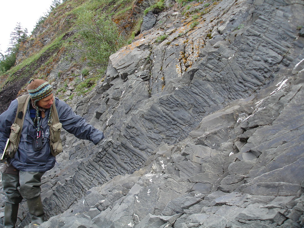 amazing flute and groove casts in Jurassic tundra miller Flickr