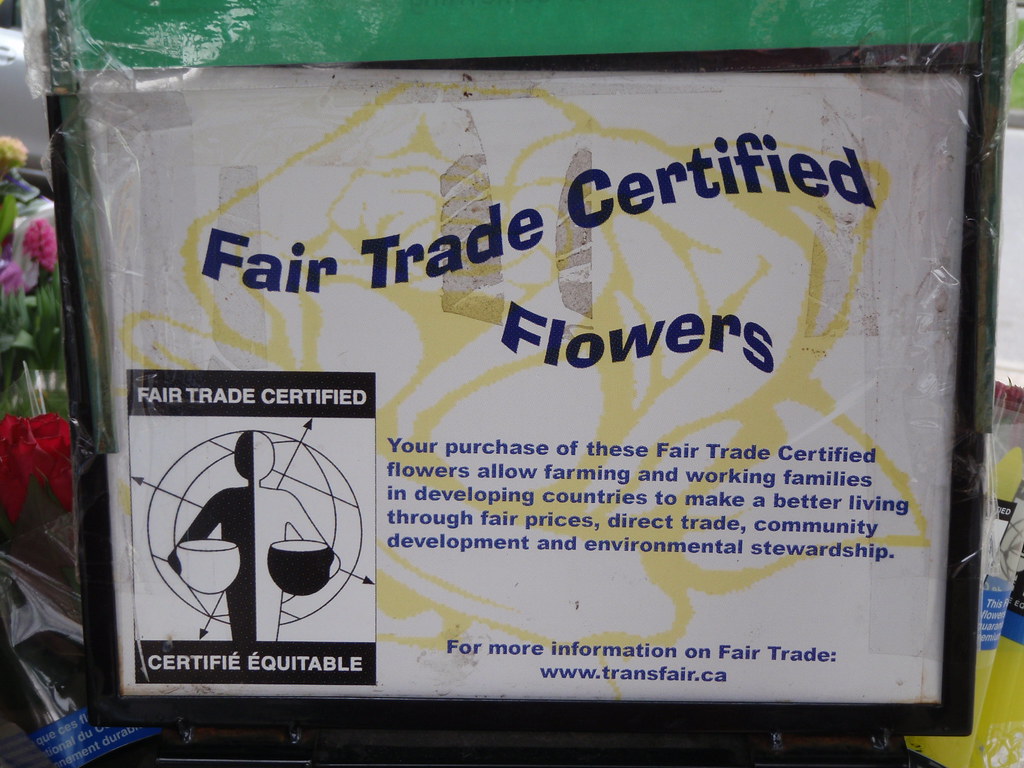 Fair trade flowers Fair trade flowers sold at Choices Mark… Rex