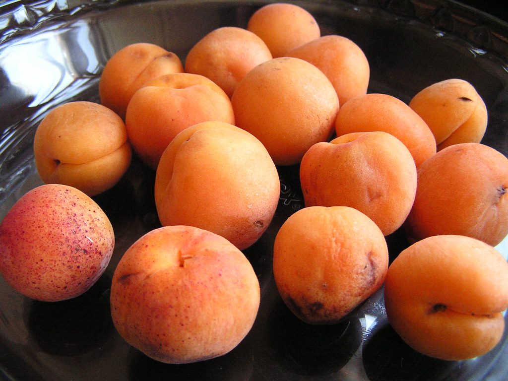 Royal Blenheim Apricots (1) The endangered Blenheim aprico… Flickr