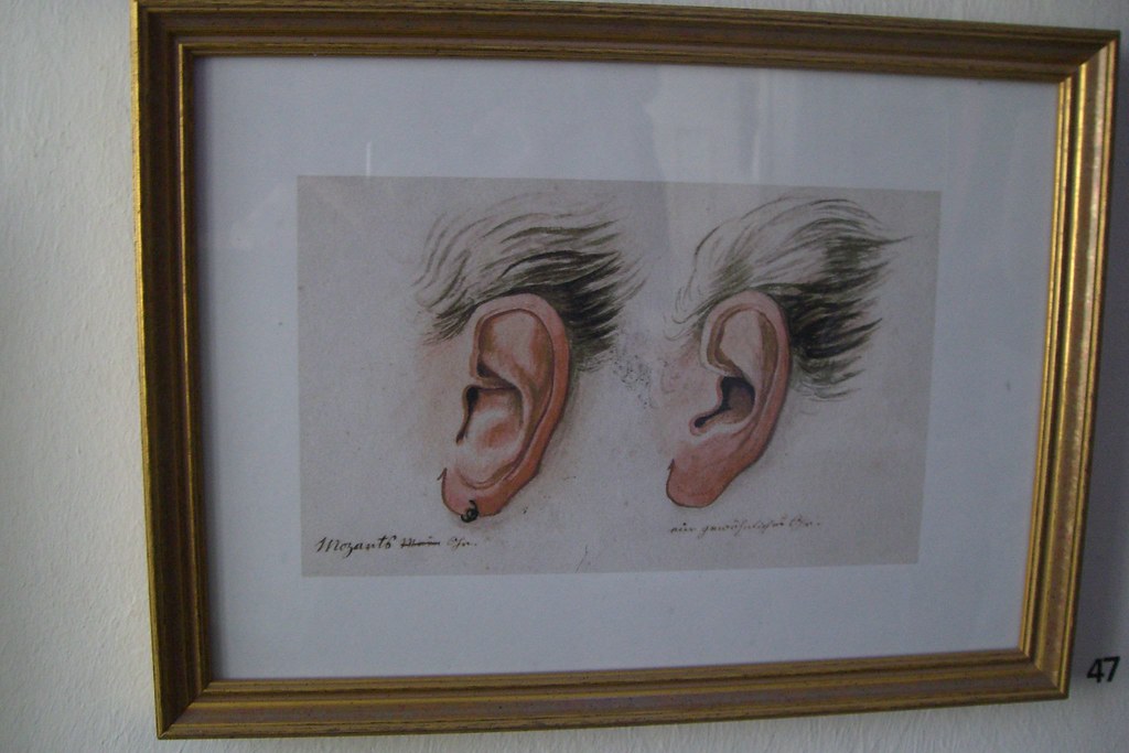 Mozart's ear This is Mozart's ear compared to someone else… Flickr