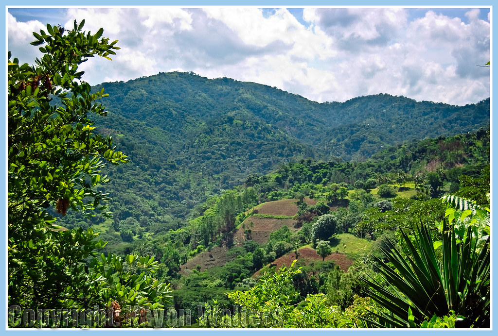 The Green Hills of Jamaica I took this pictures from my ba… Flickr
