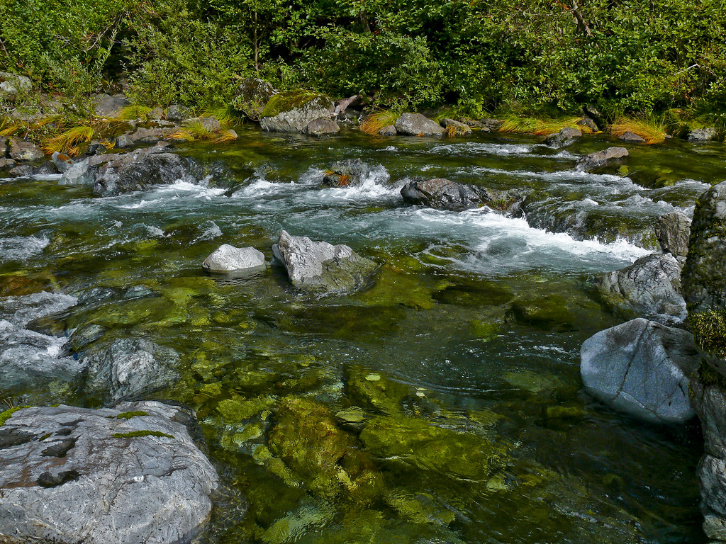 ELKRIVEROREGONP1040077 In north Curry County, southwes… Flickr