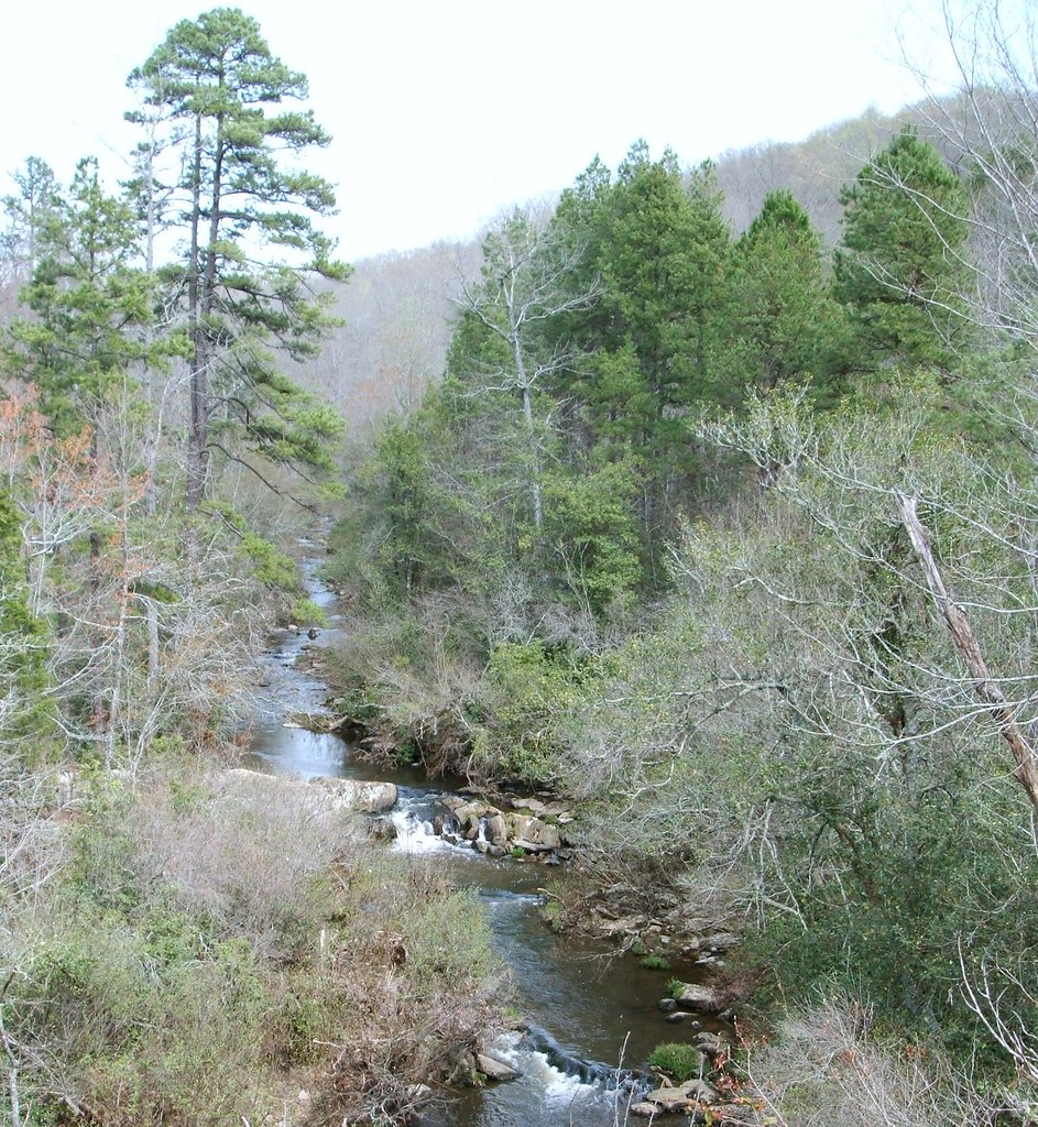 Barnes Creek from Jumping Off Rock On Flint Hill Rd. View … Flickr
