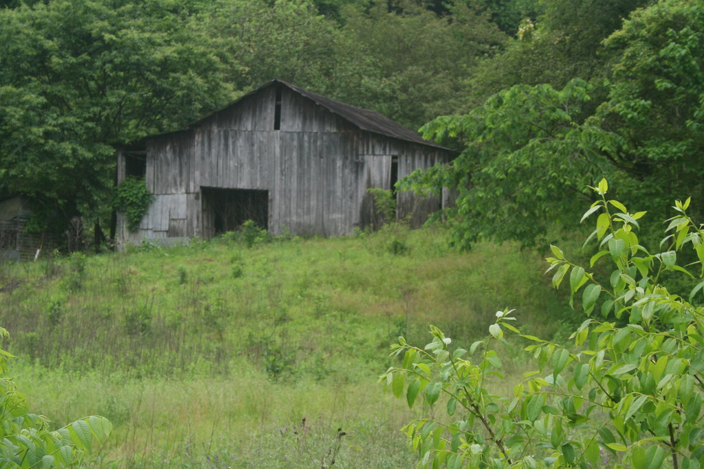 Kentucky Tobacco Barn, Lucas Farm, Lee County Big Rick SEZ Flickr
