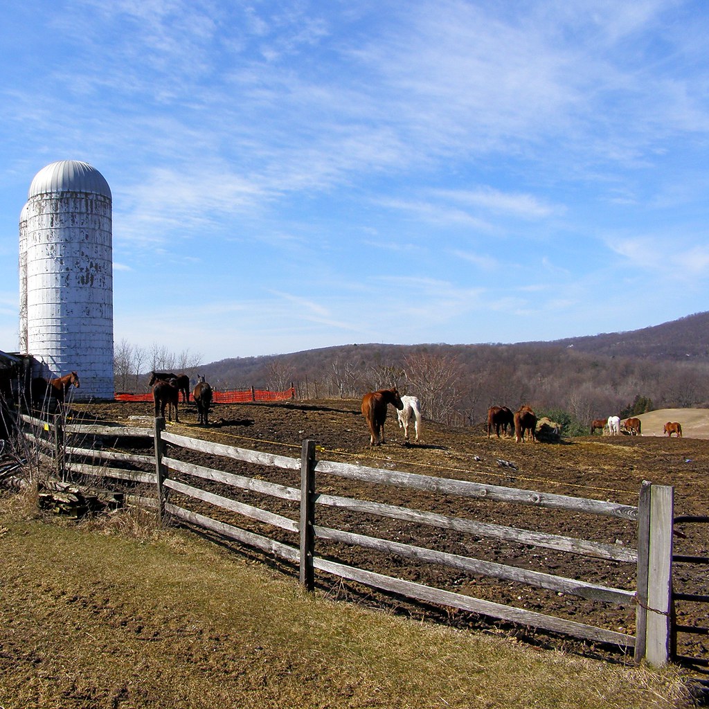 Legends Riding Stables at Great Resort, Vernon NJ Flickr