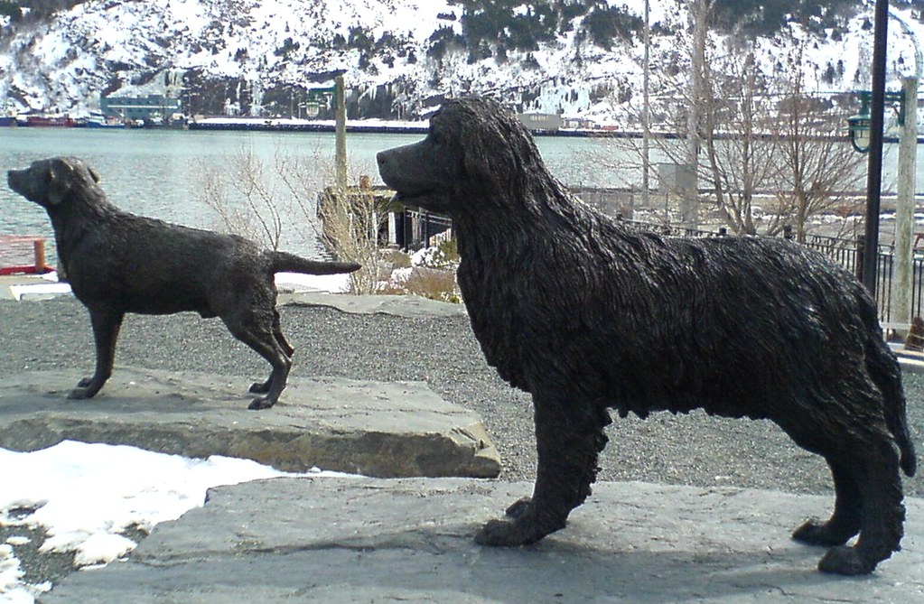 Dog Statues Statues of Newfoundland Dog (foreground) and L… Flickr