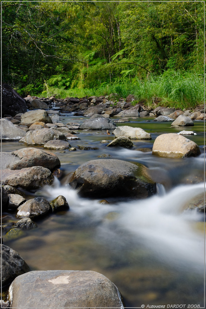 La Rivière Blanche à Coeur Bouliki en Martinique / The Whi… Flickr