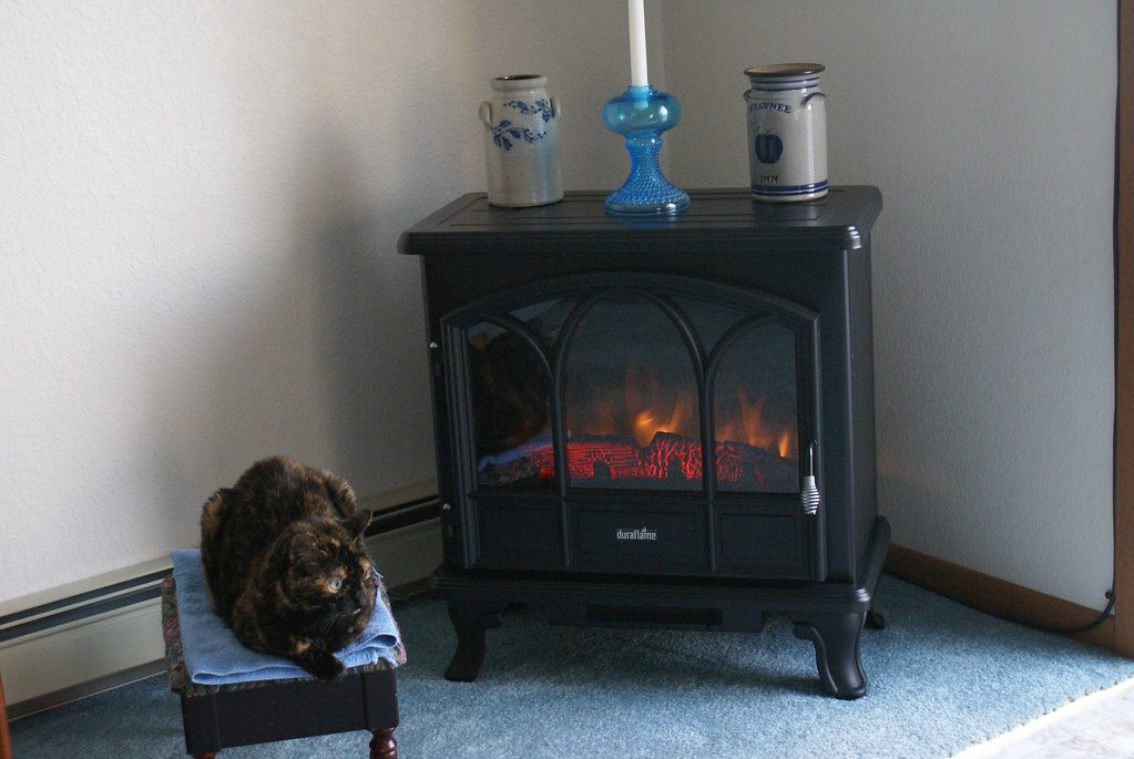 Duraflame 750 Black Freestanding Electric Stove with Remot… Flickr