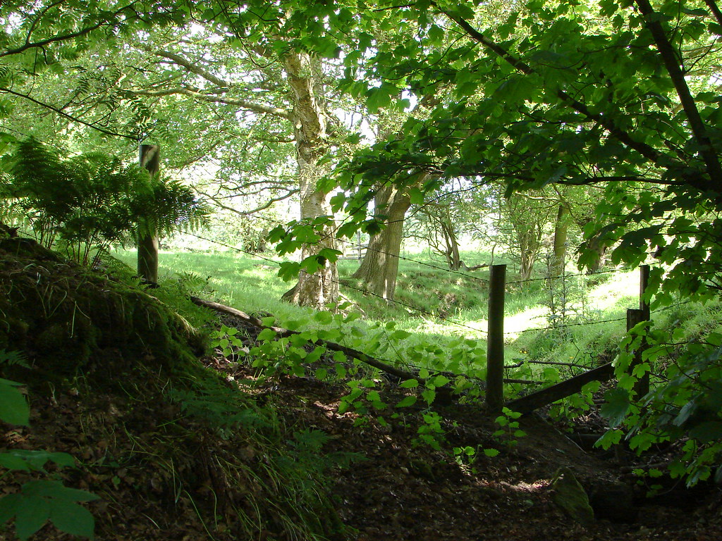 Woods Alderley Edge woods. kh1234567890 Flickr