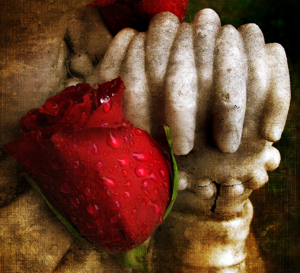 Mystical Rose Mystical Rose, Immaculate Virgin, Mother of … Flickr