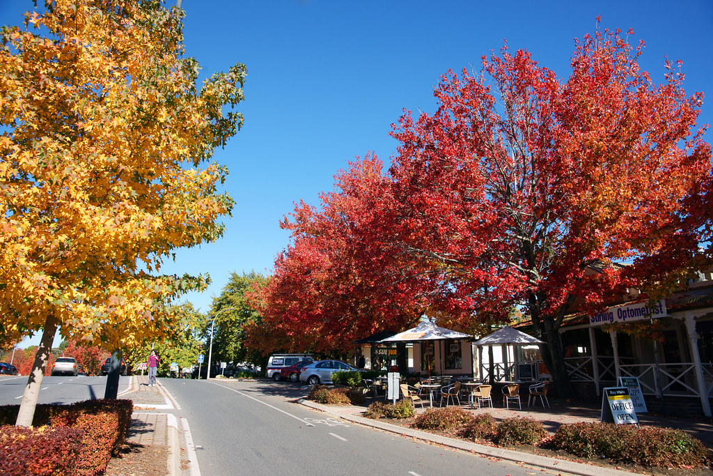 Stirling, South Australia located only 18 km from Adela… Flickr