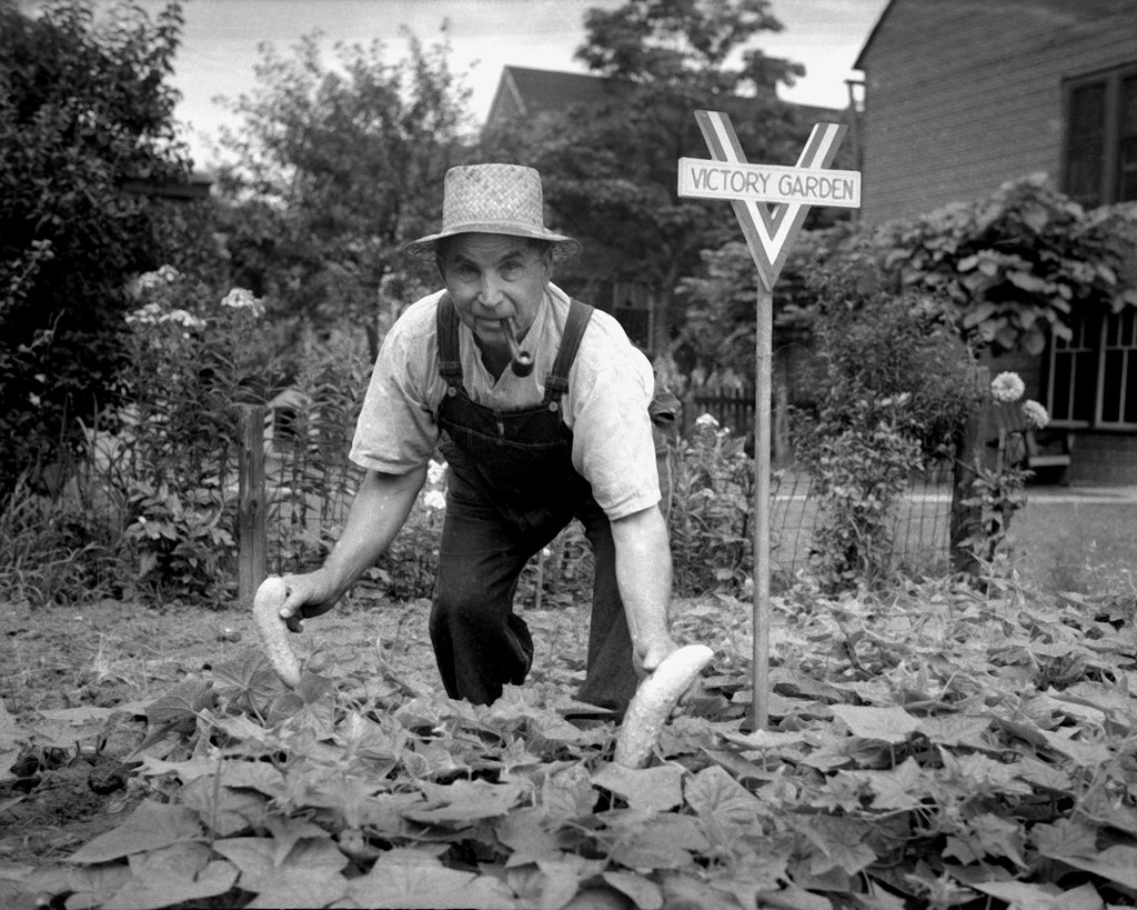 Victory Garden, Chicago, 1940's copyright Elmer C. Johnson… Flickr