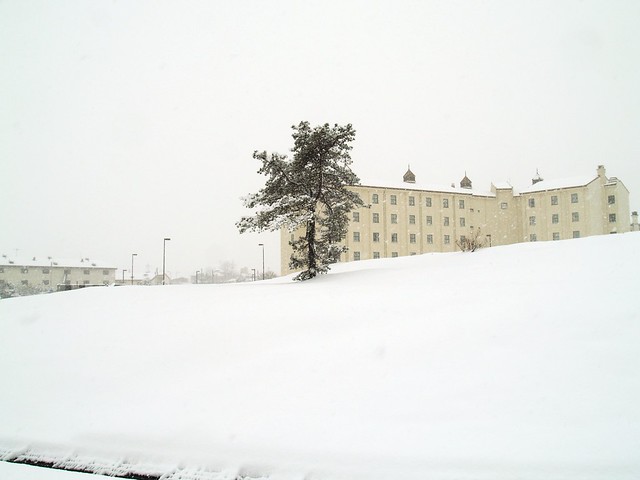 Snowy Camp Humphreys Flickr Photo Sharing!