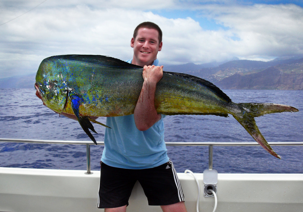 Dorado Mahi Mahi 50lb Dorado. Madeira. July 2008. This w… Flickr