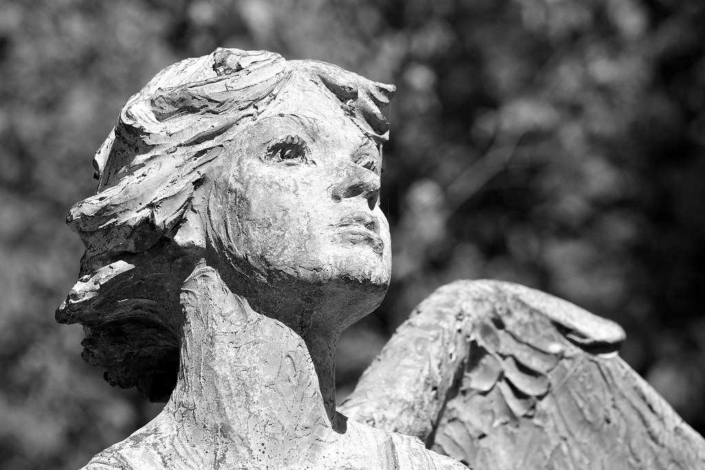 Angel of Hope statue (2001) The Angel of Hope statue in th… Flickr