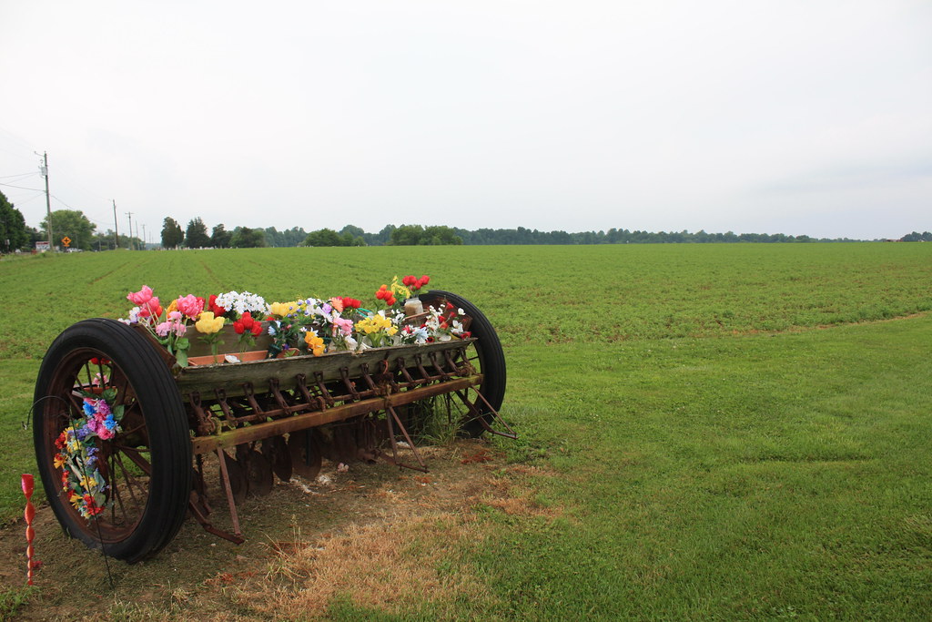 Flower Plower Flowers in old farm machinery beside the roa… Flickr