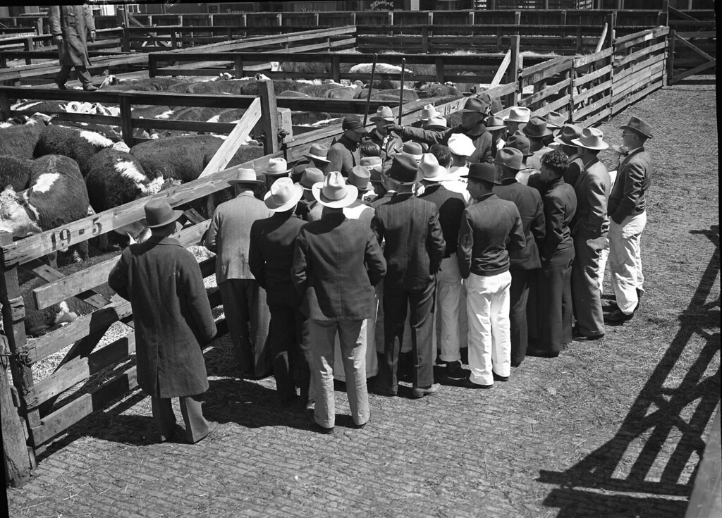 Kansas City Stockyards Title Kansas City Stockyards Creat… Flickr