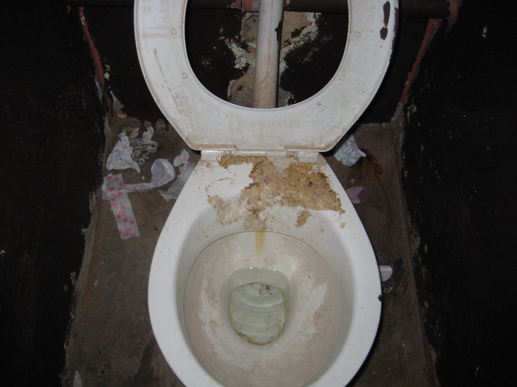 Dirty Toilets in South African School Cecilia Snyder Flickr