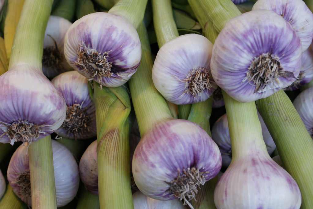 Garlic Marché Rue de la Convention Paris 15e Arrondissem… Flickr