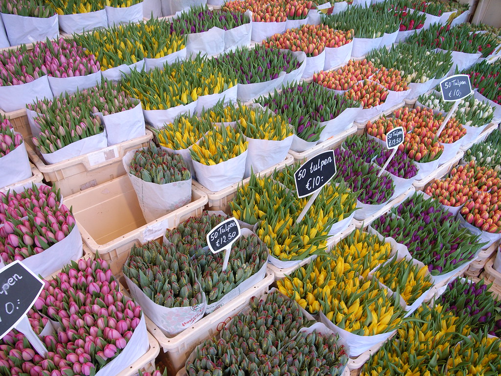 Tulips Tulips for sale in the Bloemenmarkt Steve Cadman Flickr