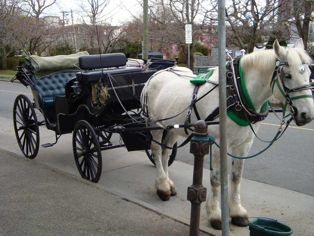LandauType HorseDrawn Carriage / Victoria, B.C., Canada Flickr