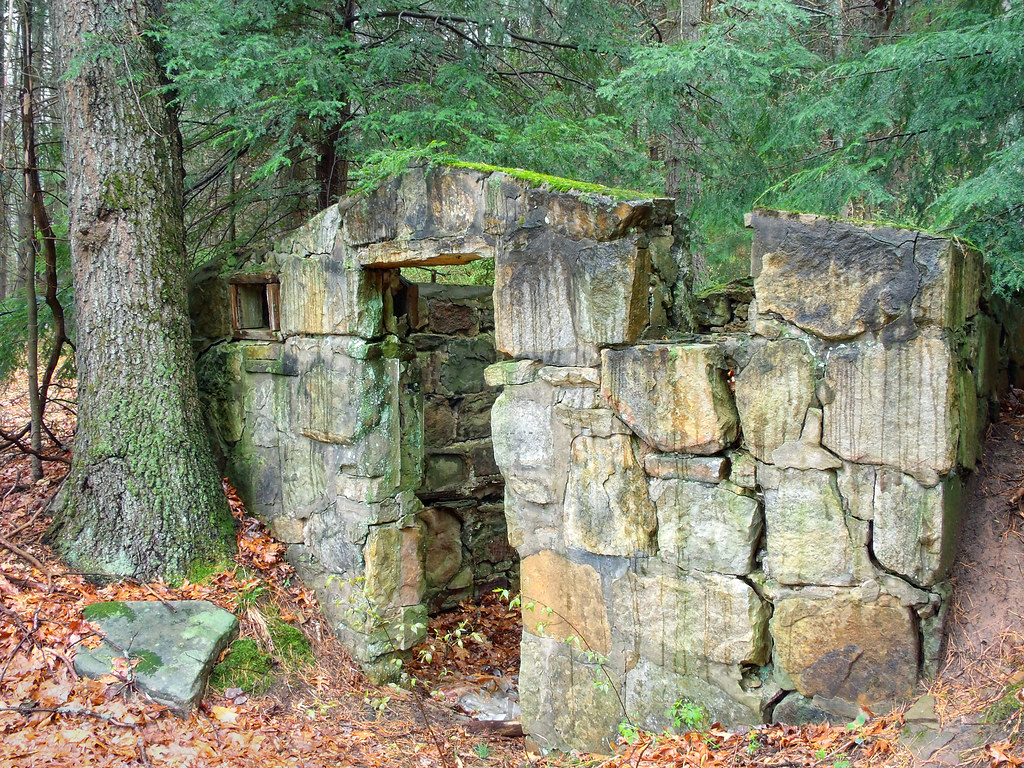 Remnant Ruins near the Haneyville ATV Trail, Tiadaghton St… Flickr