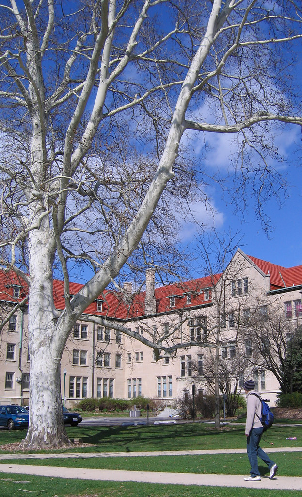 Pemberton Hall Pemberton Hall at Eastern Illinois Universi… Janice