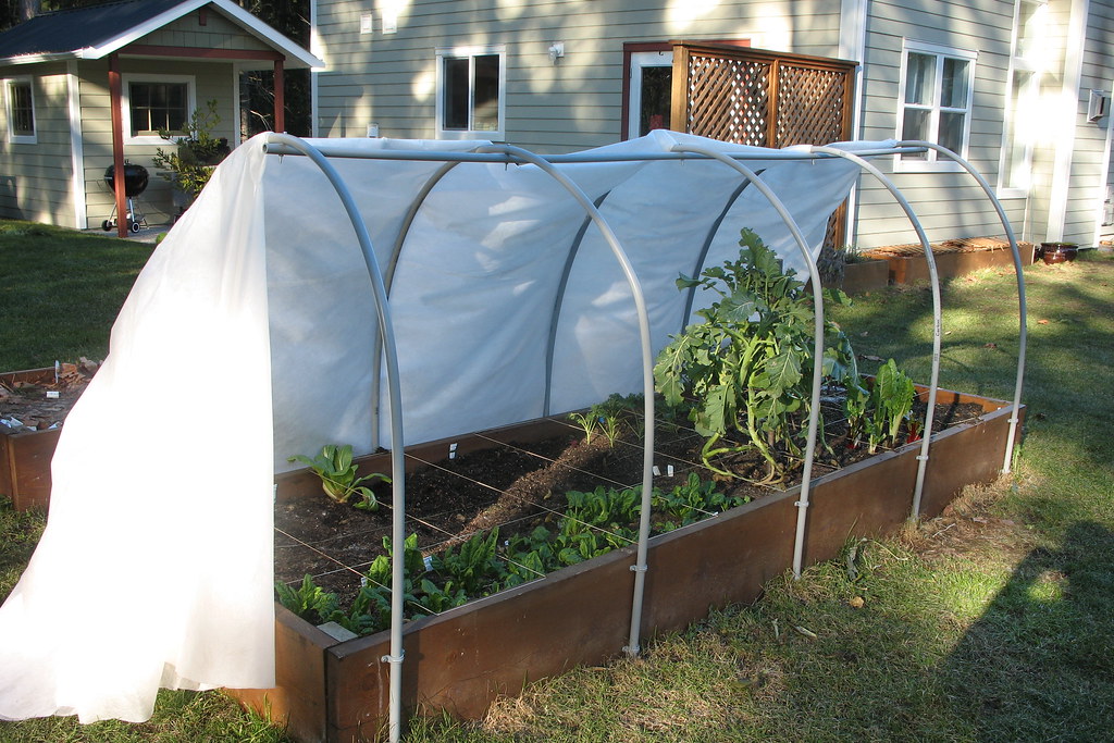 winter garden hoop house blogged golly g Flickr