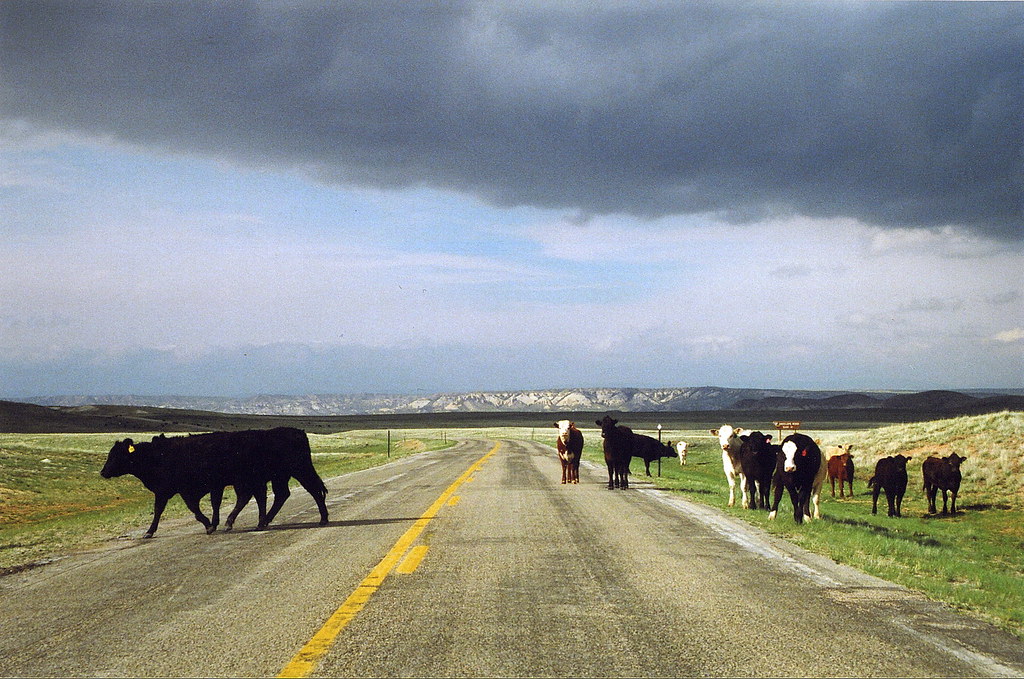 Shirley Basin, WY. lord the air smells good today Flickr