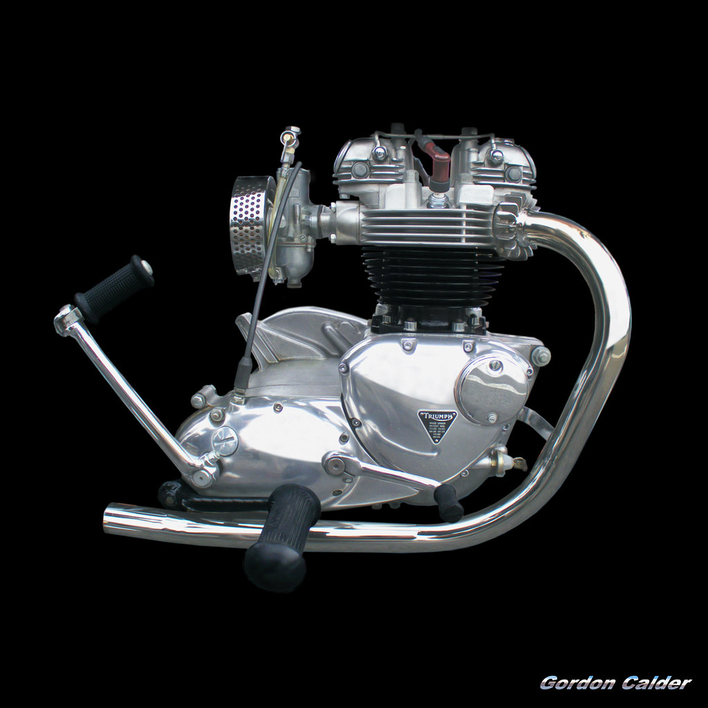 NO 23: CLASSIC TRIUMPH 650 THUNDERBIRD MOTORCYCLE ENGINE | Flickr