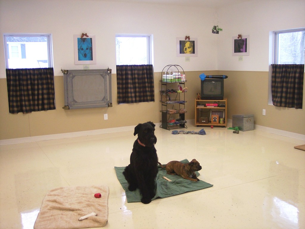 dog training room (west view) to Acme Canine. We a… Flickr