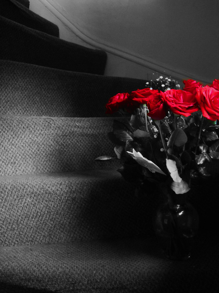 "She left me roses by the stairs, surprises let me know sh… Flickr