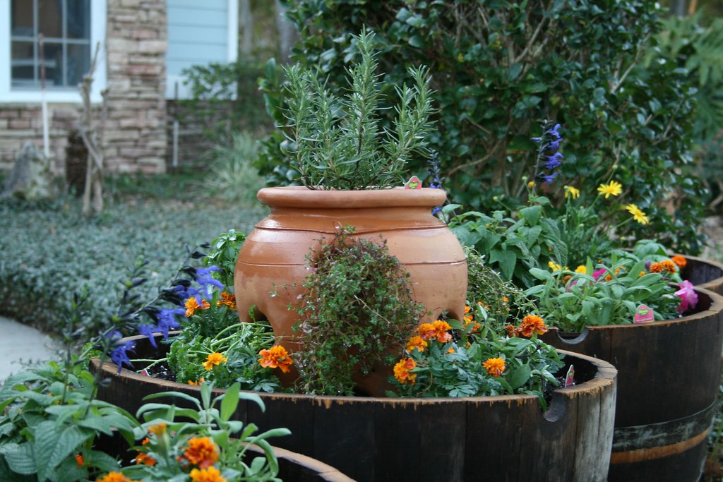The new wine barrel herb garden. kaytee17 Flickr