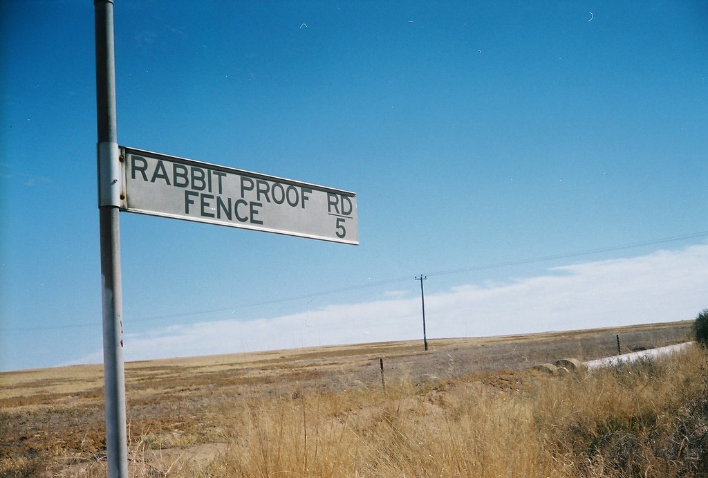 Rabbit Proof Fence Dowerin, Western Australia