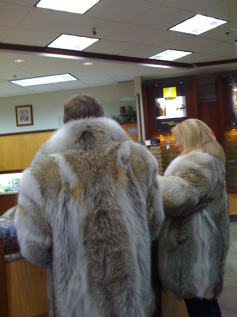 Spousal Fur Coats! Spotted in Market Mall in Calgary, AB Travis Gertz Flickr