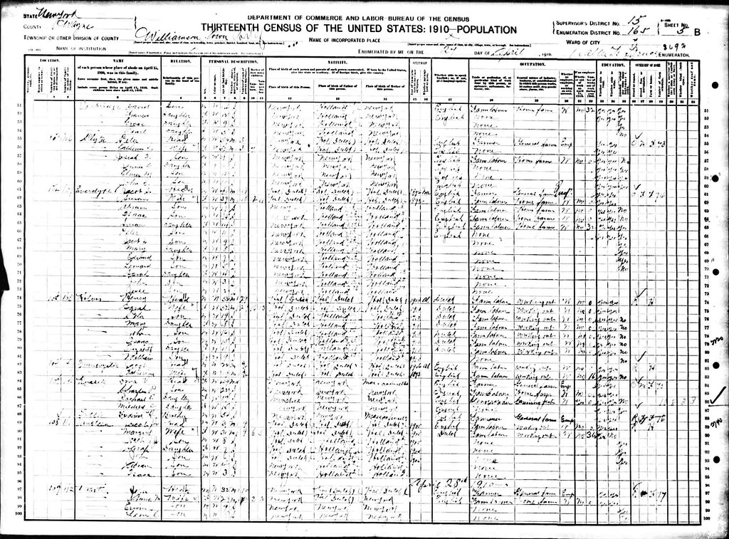 Williamson, Wayne county, New York 1910 census record Flickr