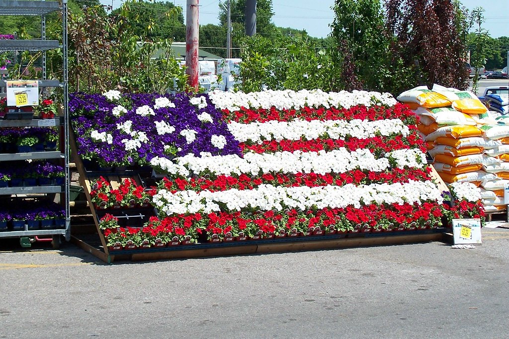 flower flag The American flag made out of flowers at Rural… Flickr