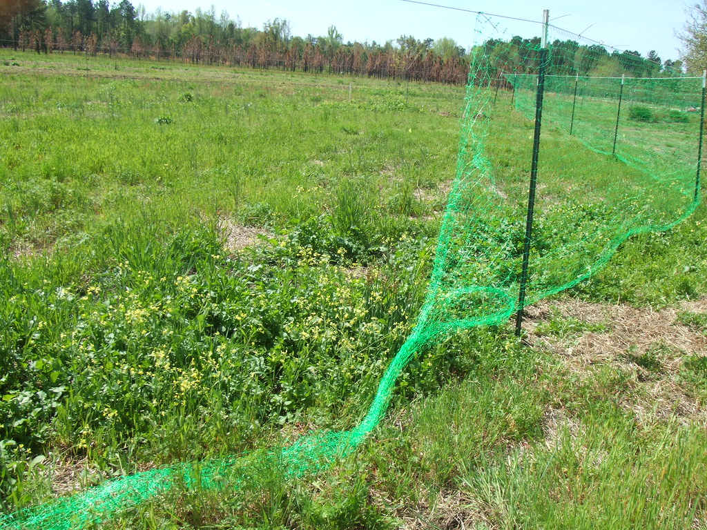 Deer Fencing 7' plastic mesh deer fencing from Hoover Fenc… Flickr