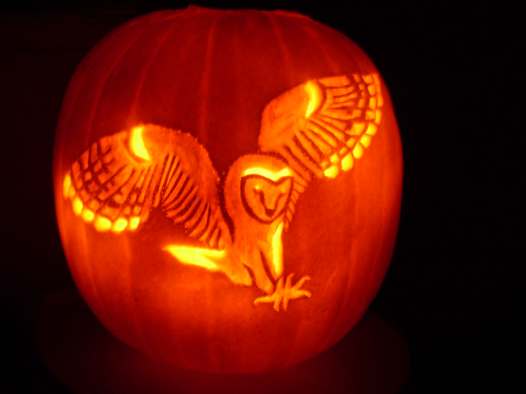 Owl pumpkin carving 2008 pumpkin design for carving contes… Flickr