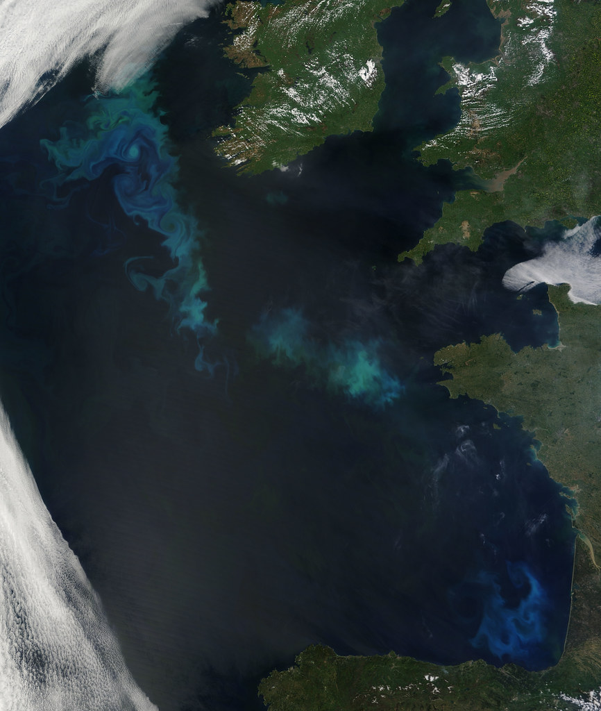 Phytoplankton Bloom in the North Atlantic NASA image acqui… Flickr